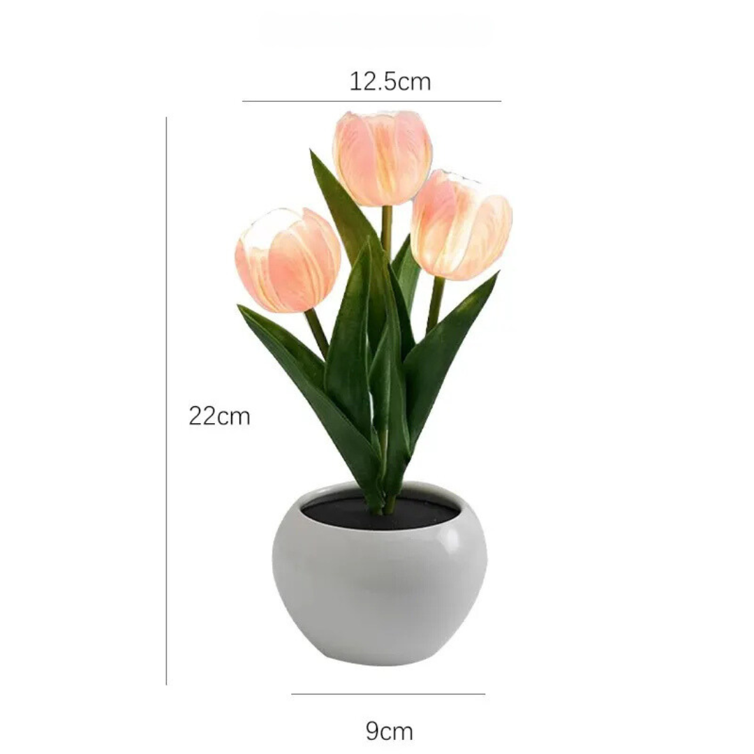 Tulip LED Night Lamp